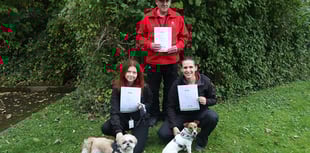 Street wardens rated gold for animal welfare