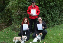 Street wardens rated gold for animal welfare