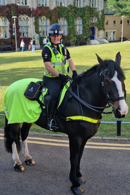 Police horse unit's future up in air