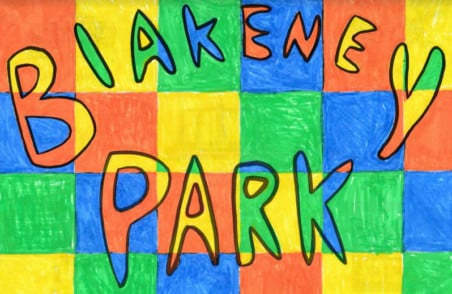 Village's £70,000 playground bid