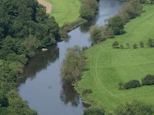 Forest AONB still supported by councillors