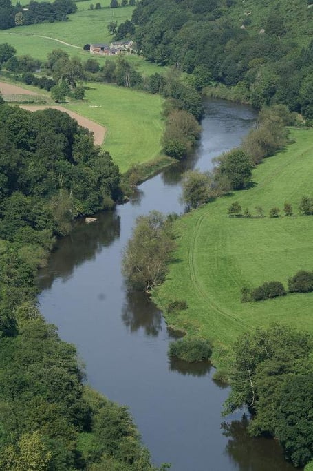 Forest AONB still supported by councillors