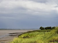 Severn wetlands are set for 'green recovery'