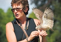 Renowned birds of prey centre closes to visitors