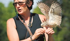 Renowned birds of prey centre closes to visitors