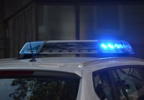 Appeal after man was seen being put into car boot