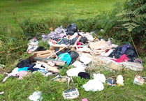 Waste warning after ‘serial’ fly tipper fined