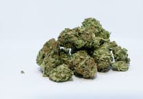 Whitecroft man fined for cannabis possession