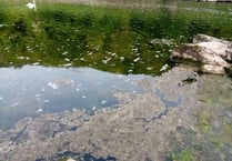 River Wye ‘sewage’ claim is dismissed by NRW