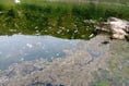 River Wye ‘sewage’ claim is dismissed by NRW