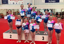 Ten medals for young Forest gymnasts