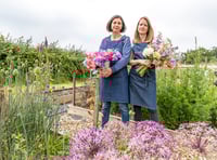 Lifestyle award nods for Forest businesses