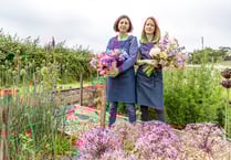 Lifestyle award nods for Forest businesses