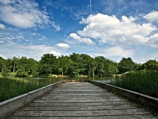 Foresters split on Cannop Ponds plans