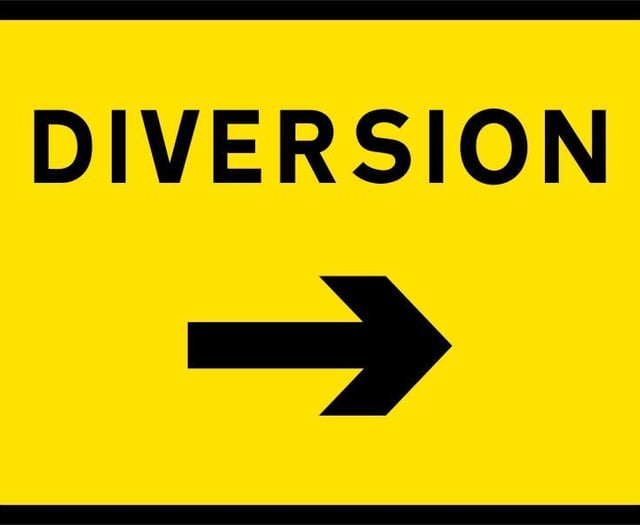 Roadworks set to disrupt Forest travellers this week