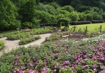 ‘Queen’s Way’ orchard will honour Her Majesty