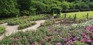 ‘Queen’s Way’ orchard will honour Her Majesty