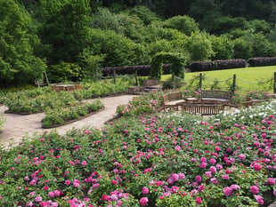 ‘Queen’s Way’ orchard will honour Her Majesty