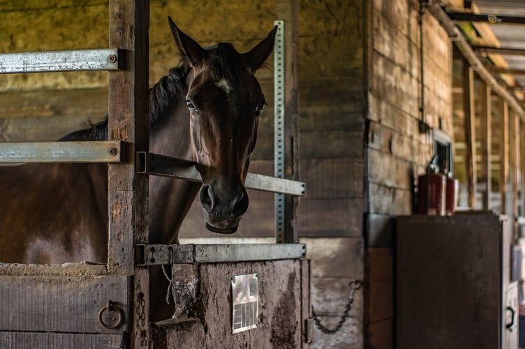 Horse stable