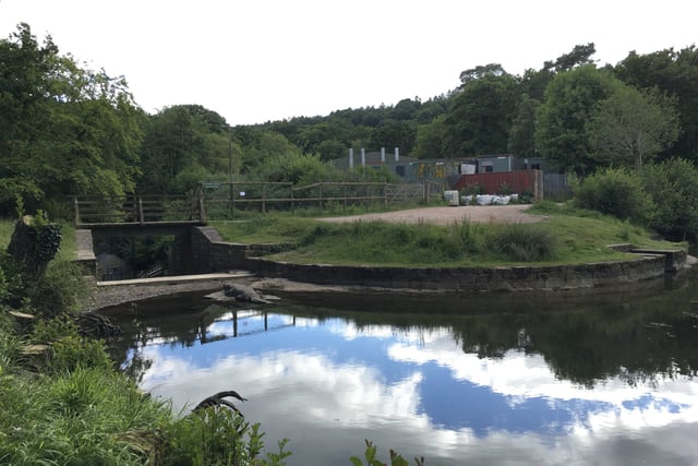 Plans for the future of Cannop Ponds unveiled