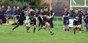 Cheltenham Tigers given a mauling by Newent RFC