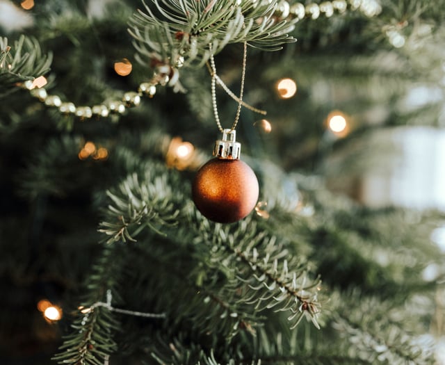 Lynne Albutt shares advice for looking after your Christmas tree
