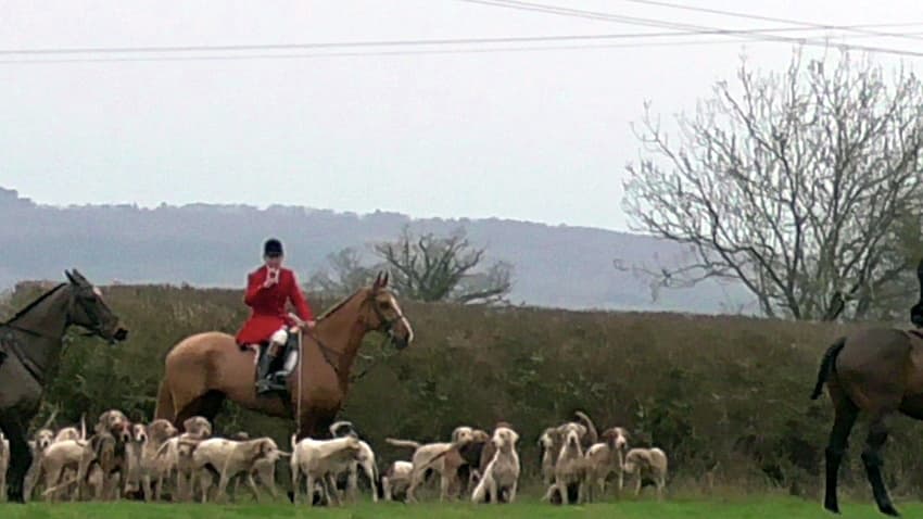 <p>The illegal hunt at Hartpury</p>