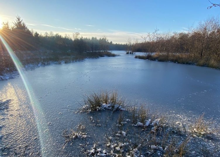 Woorgreens frozen lake