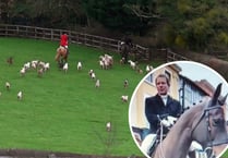 Hunt was ‘surprised’ by conviction after Hartpury meet