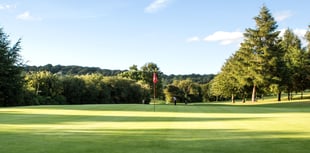 Page and Lewis top Forest Hills Senior Winter League again