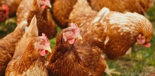 Avara pledges to act on manure pollution