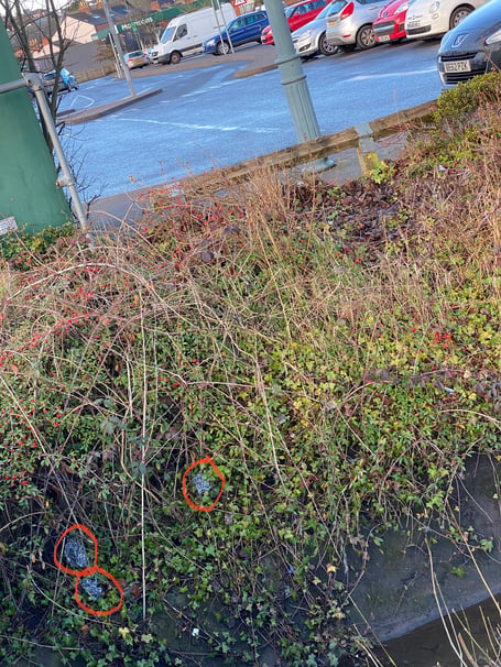 Litter at Morrisons in Ross-on-Wye