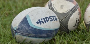 A Forest View with Dave Kent