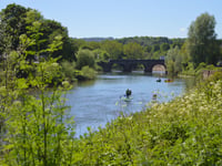 Wildlife Trusts fears for River Wye after Natural England downgrade