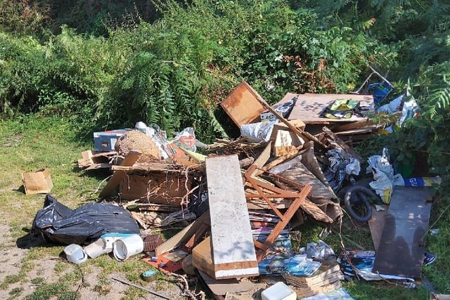 Man fined thousands of pounds for part in Bream fly tip