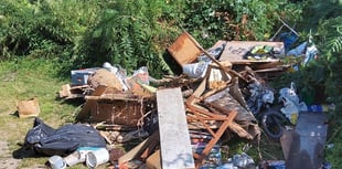 Man fined thousands of pounds for part in Bream fly tip