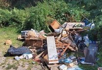Man fined thousands of pounds for part in Bream fly tip