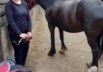 Ffion canters towards success at Severnvale