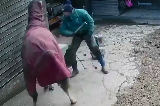 CCTV still of a man beating a horse