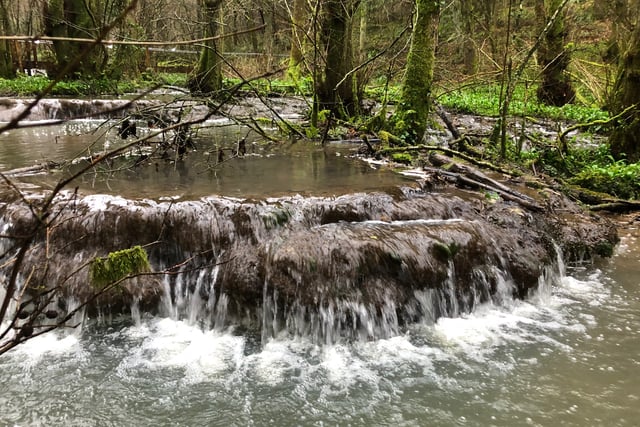Plan for 41 holiday lodges will damage protected brook, say residents