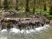 Plan for 41 holiday lodges will damage protected brook, say residents