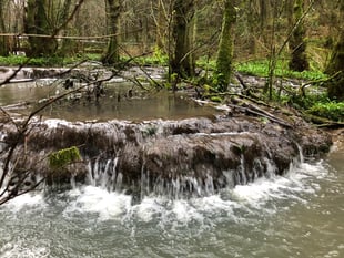 Plan for 41 holiday lodges will damage protected brook, say residents