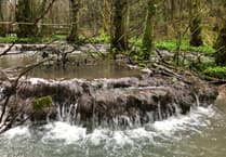 Rare brook dams 'saved' as park lodges plan rejected