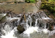 Wye Valley's unique tufa dams