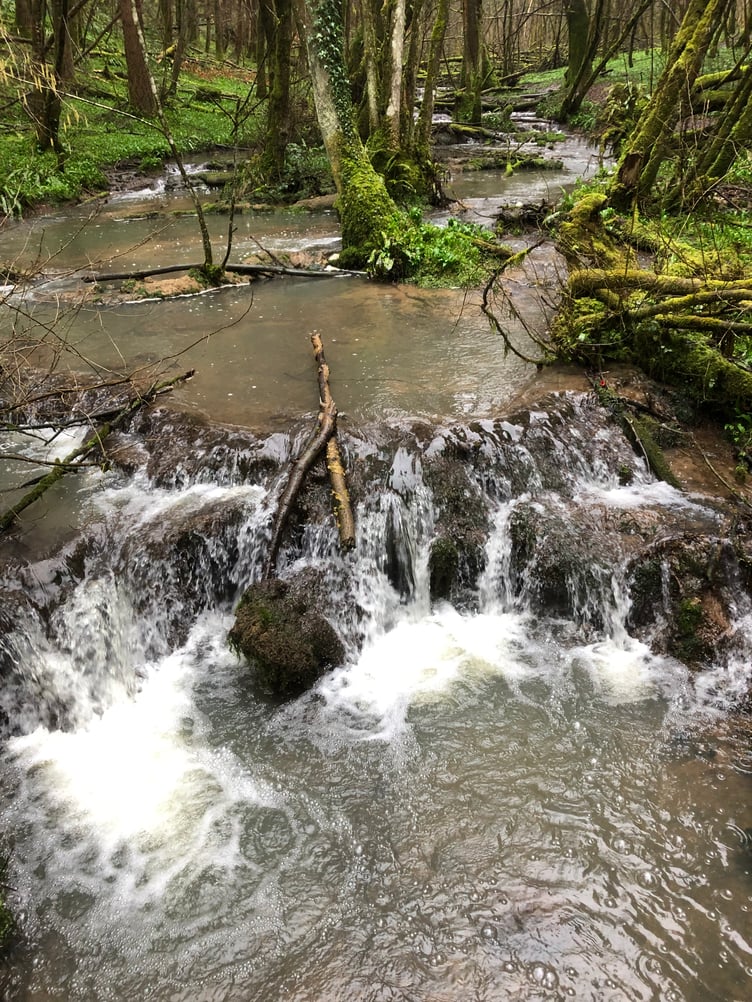 A Slade Brook tufa dam