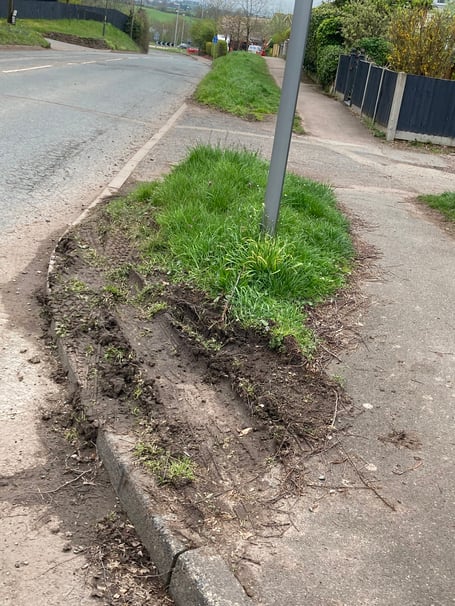 Ledbury Road verge