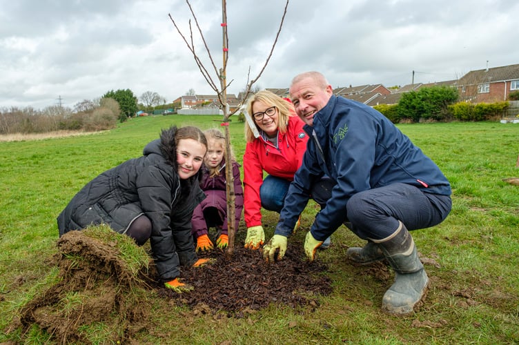 Tree planting