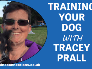 Training your dog with Tracey Prall - the importance of sleep 