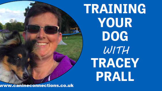 Training your dog with Tracey Prall - two-minute training for new pups