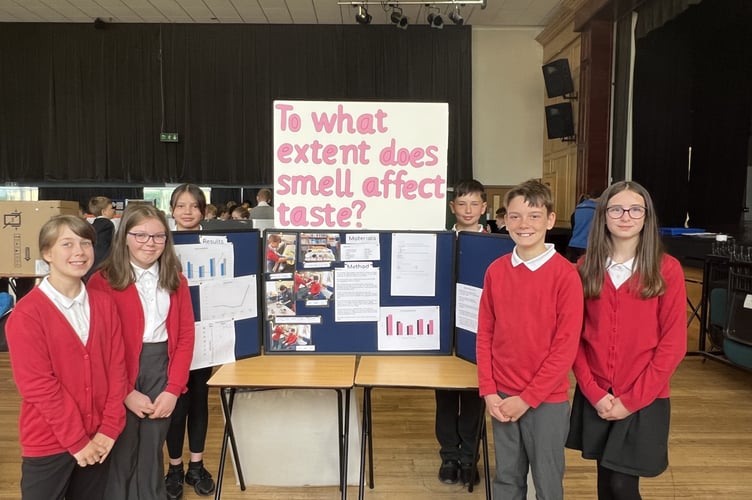 Budding scientists shine in annual science fair at Girls’ school